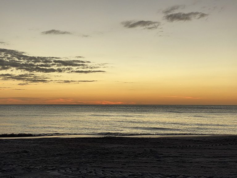 Shark spotted on Anna Maria Island shore! – Anna Maria Island ...